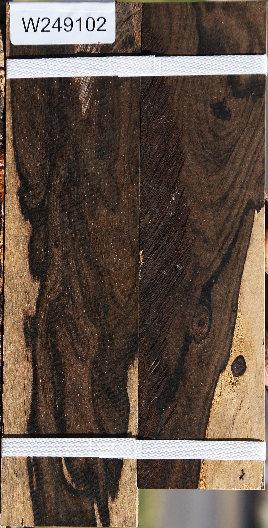 Extra Fancy Ziricote Micro Lumber 2 Pack