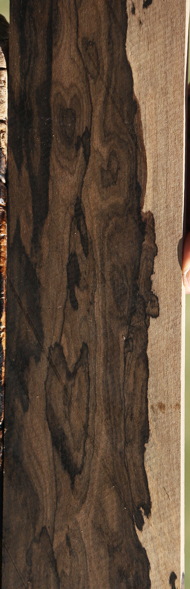 Extra Fancy Ziricote Micro Lumber