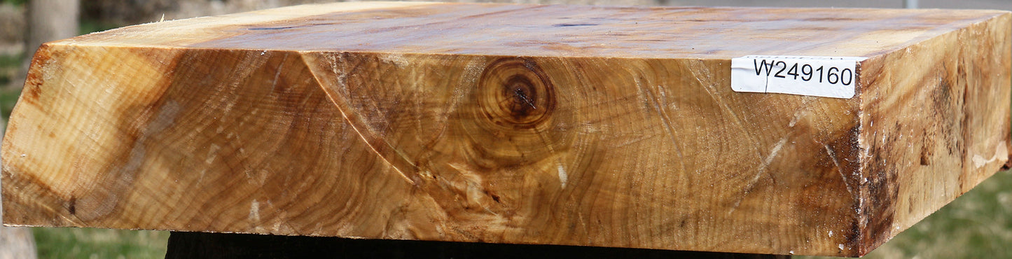 Figured Black Cottonwood Bowl Blank