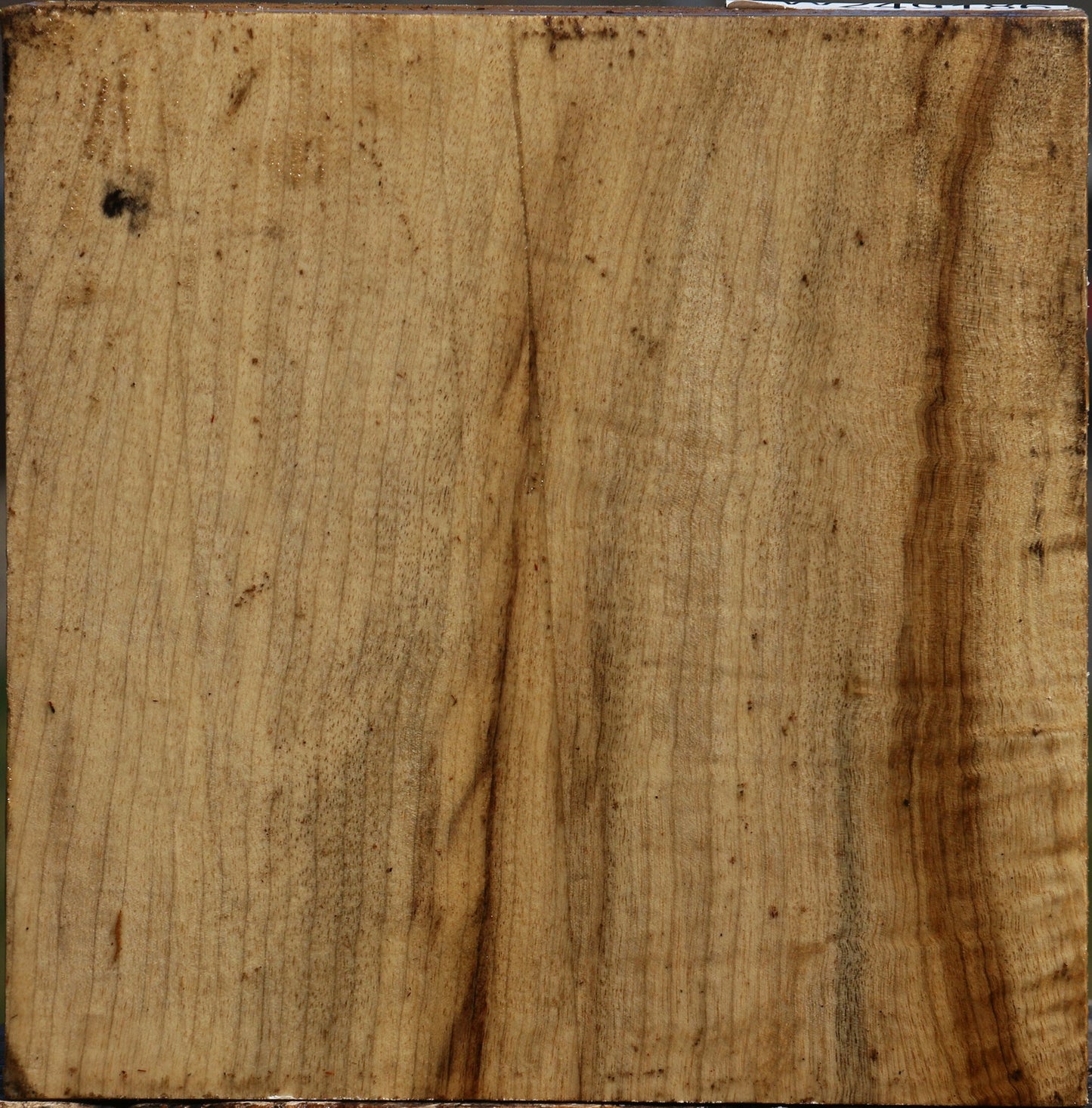 Extra Fancy Myrtle Bowl Blank