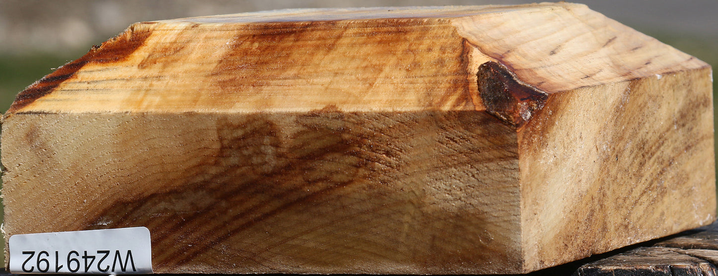 Black Cottonwood Bowl Blank