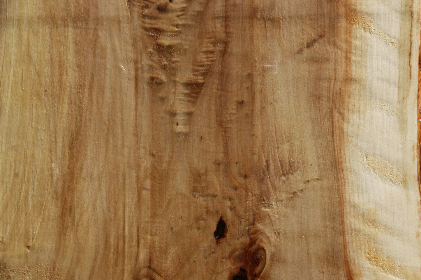 Black Cottonwood Bowl Blank