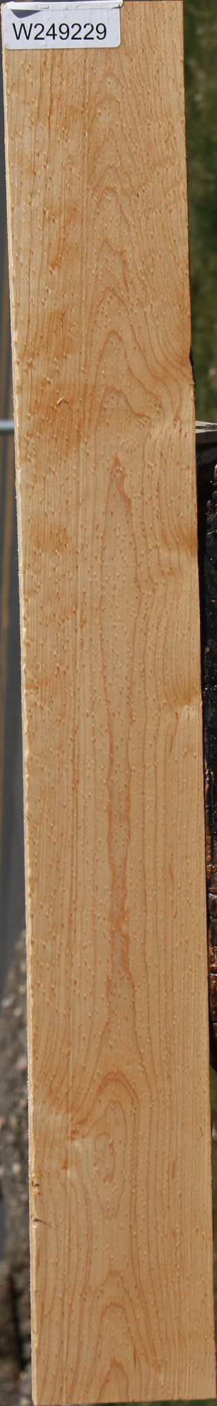 Figured Birdseye Maple Lumber