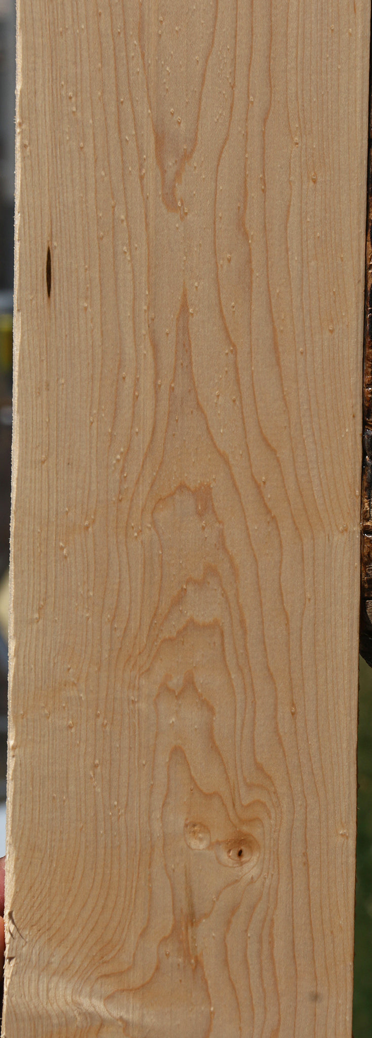 Figured Birdseye Maple Lumber