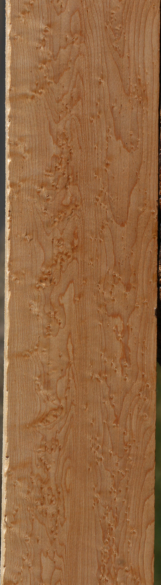 Extra Fancy Birdseye Maple Lumber