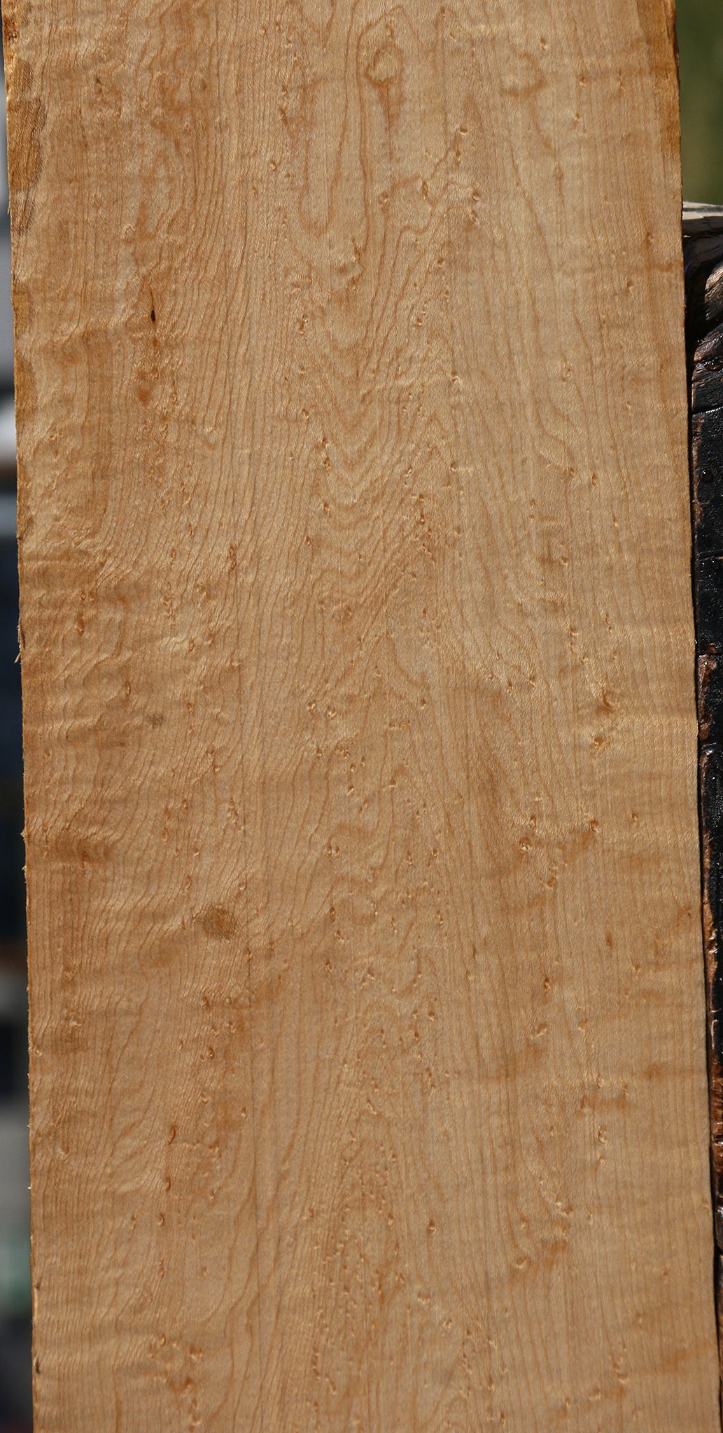 Extra Fancy Birdseye Maple Lumber