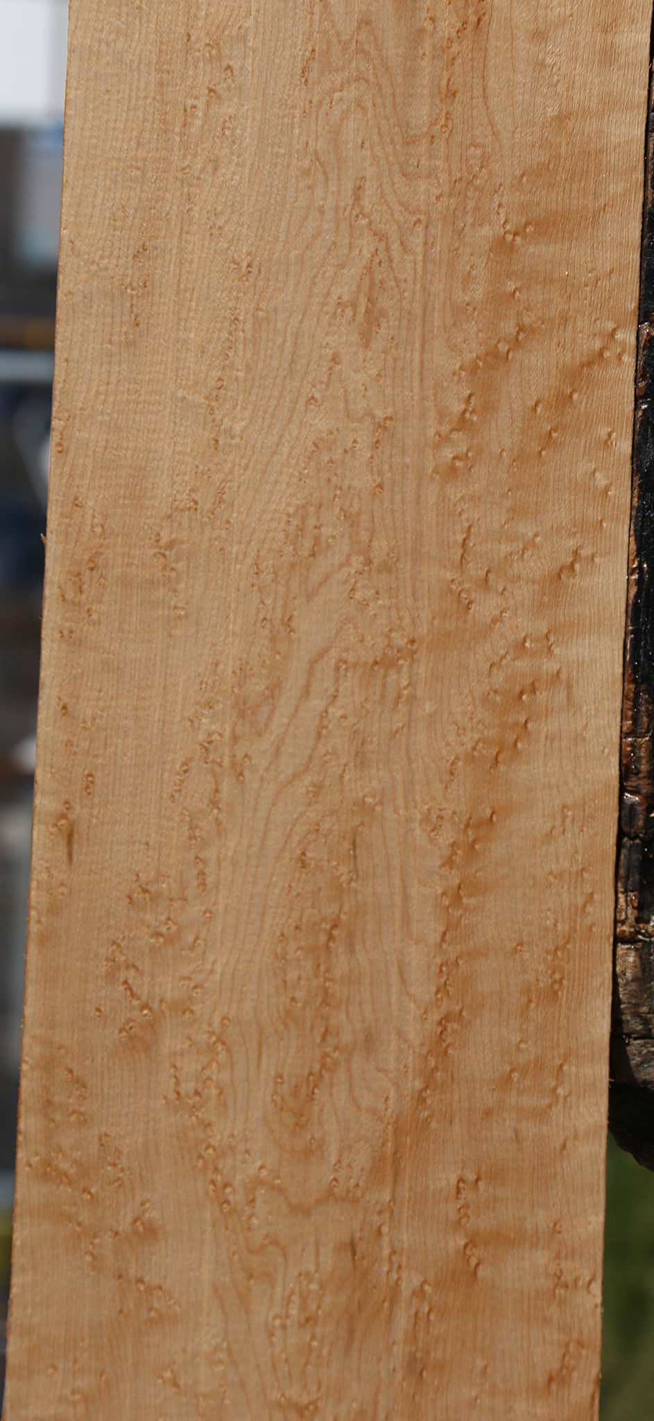 Extra Fancy Birdseye Maple Lumber