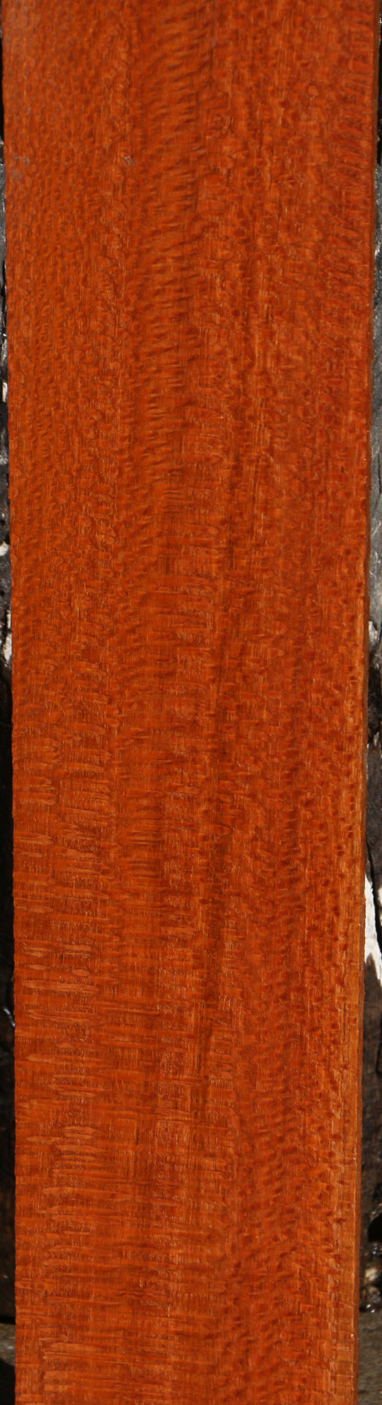 Extra Fancy Leopardwood Lumber