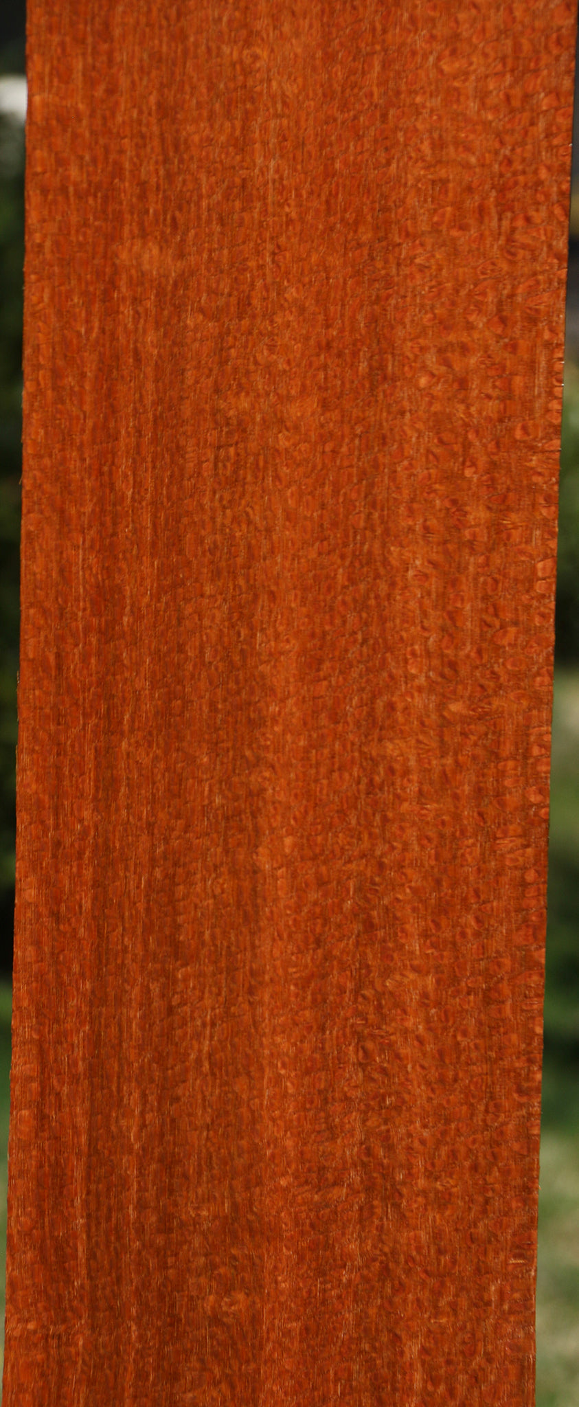 Leopardwood Lumber