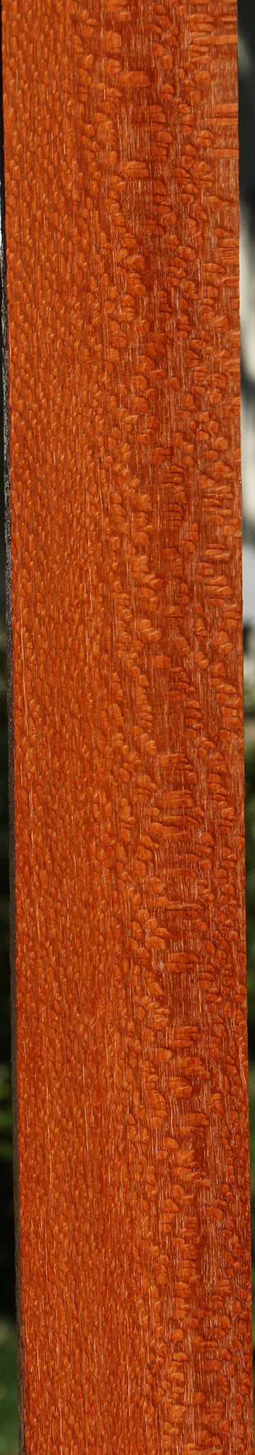 Extra Fancy Leopardwood Lumber