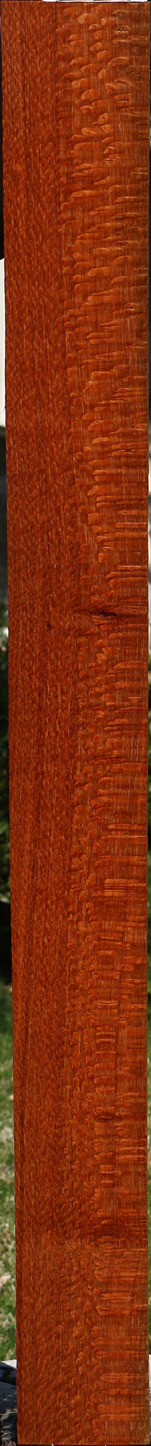 Extra Fancy Leopardwood Lumber