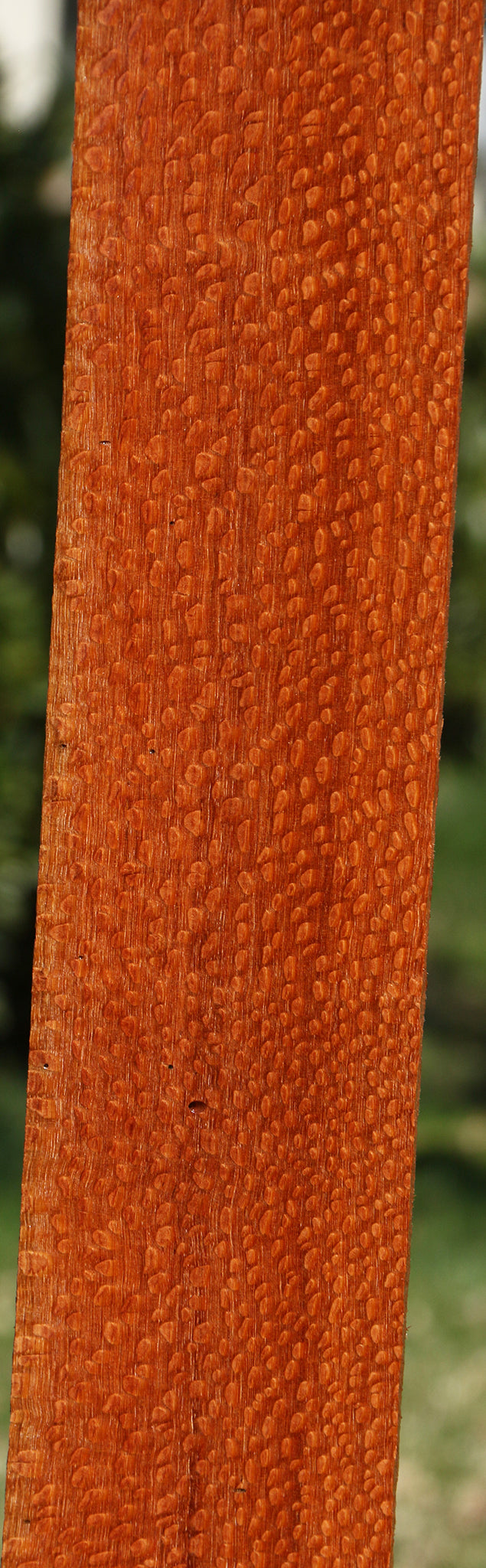 Extra Fancy Leopardwood Lumber