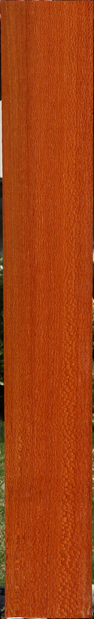 Figured Leopardwood Lumber