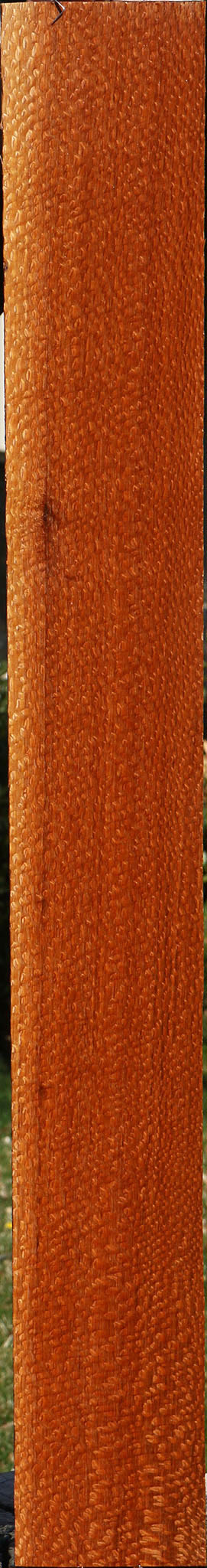 Extra Fancy Quartersawn Leopardwood Lumber