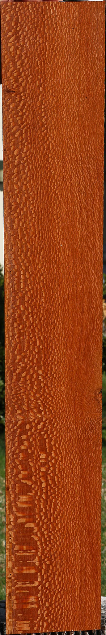 Figured Leopardwood Lumber
