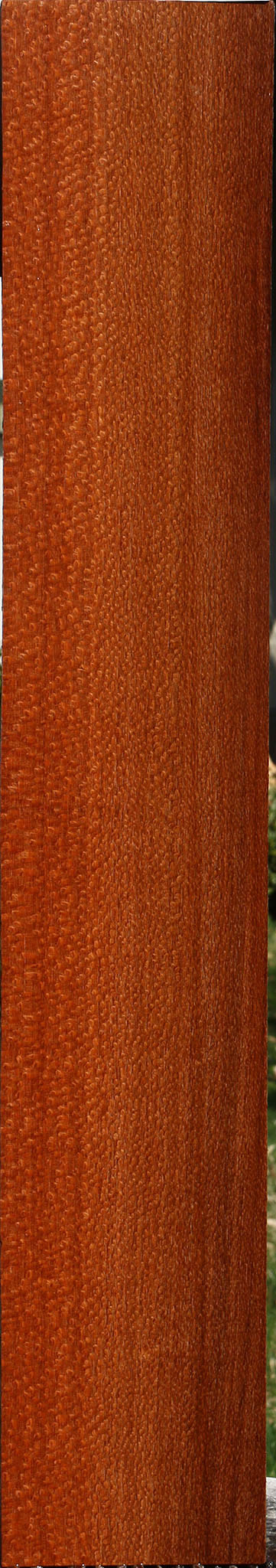 Extra Fancy Quartersawn Leopardwood Lumber