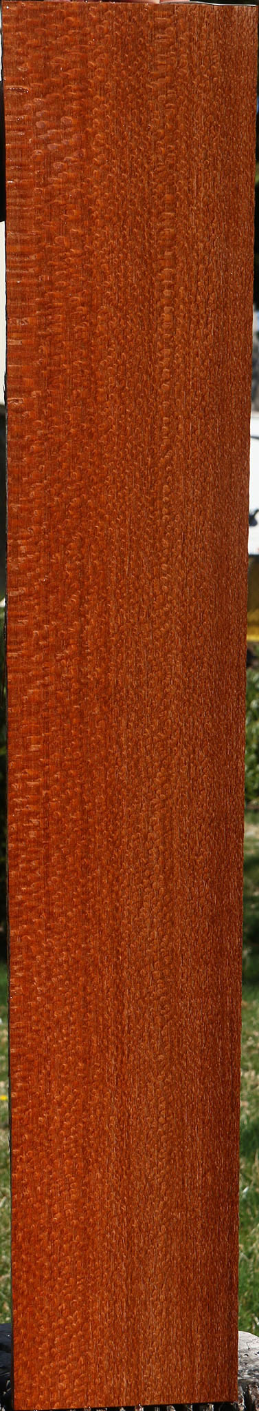 Extra Fancy Quartersawn Leopardwood Lumber