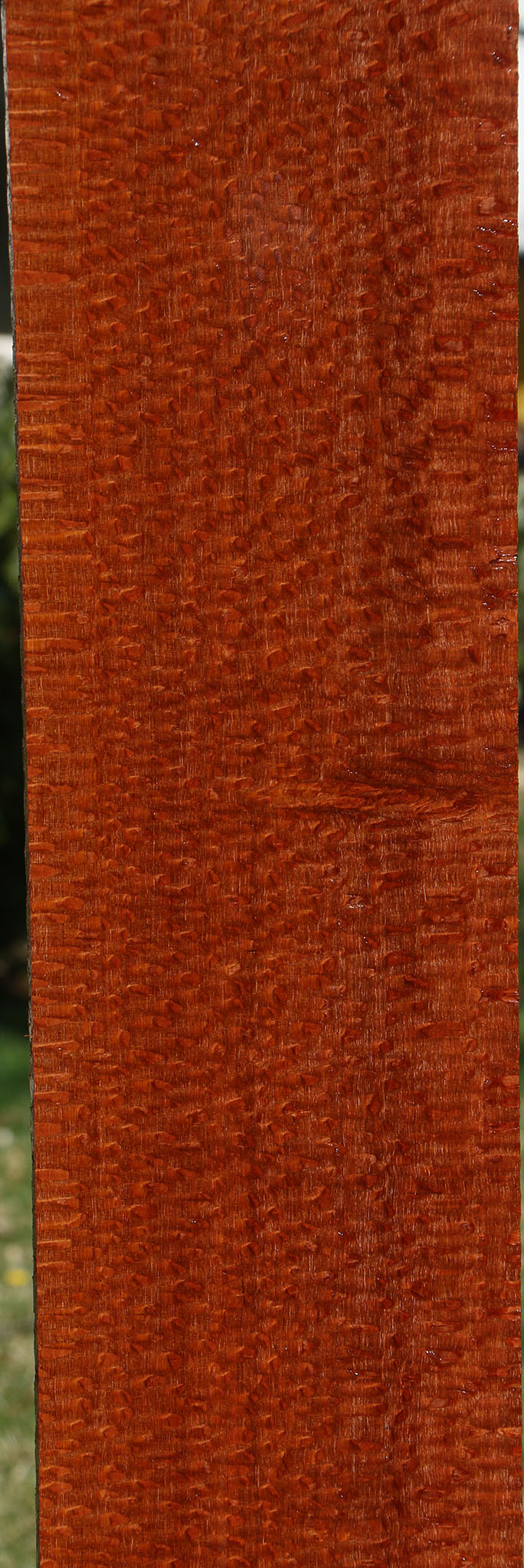 Extra Fancy Quartersawn Leopardwood Lumber