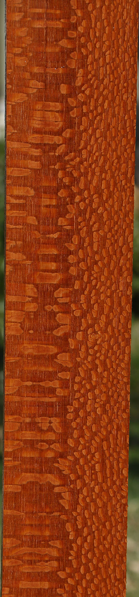 Extra Fancy Quartersawn Leopardwood Lumber