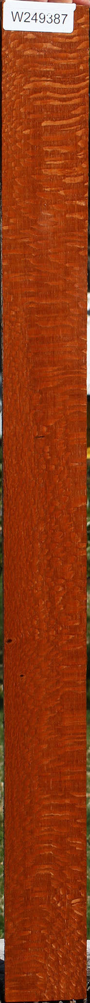 Extra Fancy Leopardwood Lumber