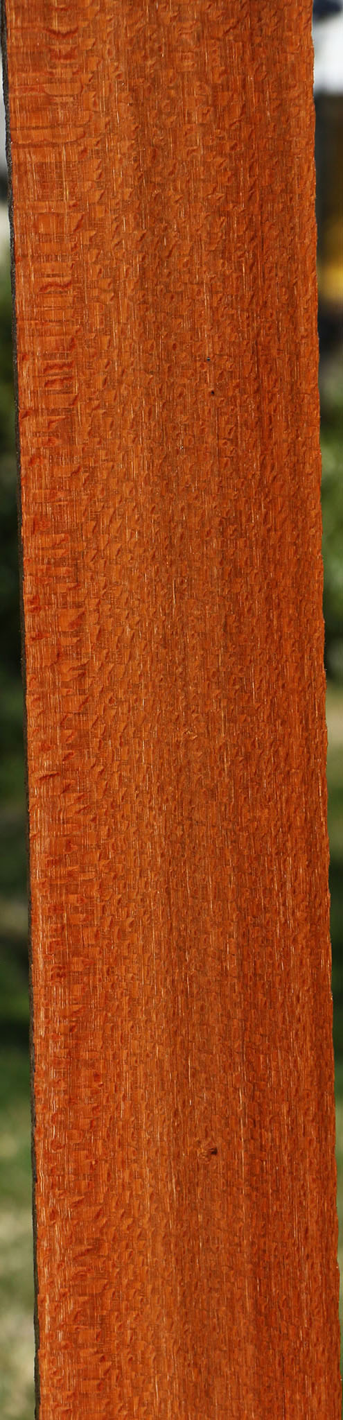Figured Leopardwood Lumber