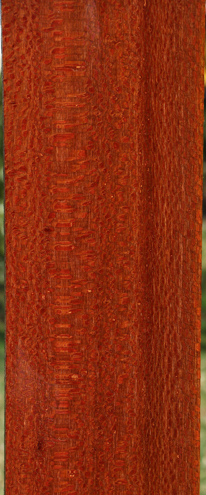 Extra Fancy Leopardwood Lumber