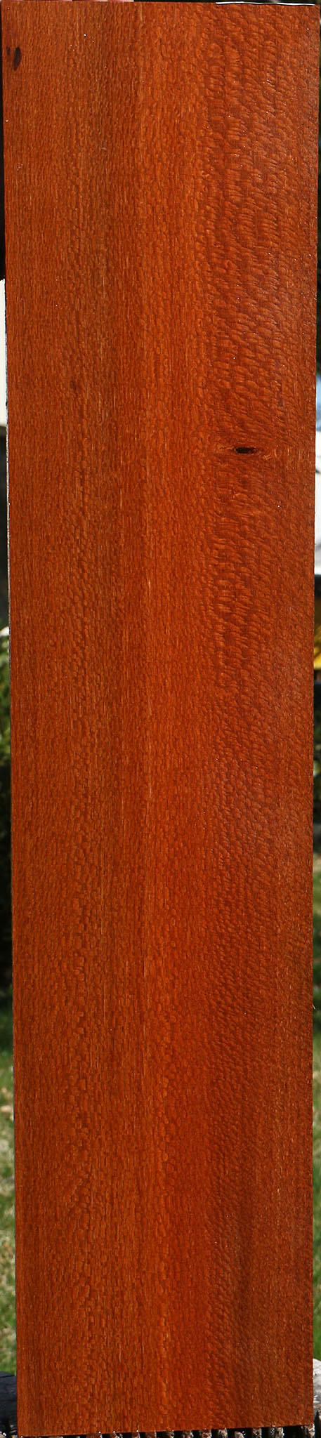 Extra Fancy Leopardwood Lumber
