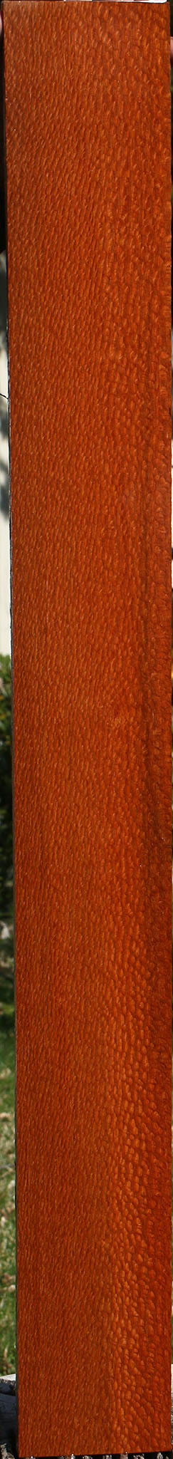 Figured Leopardwood Lumber