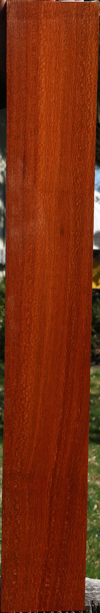 Figured Leopardwood Lumber