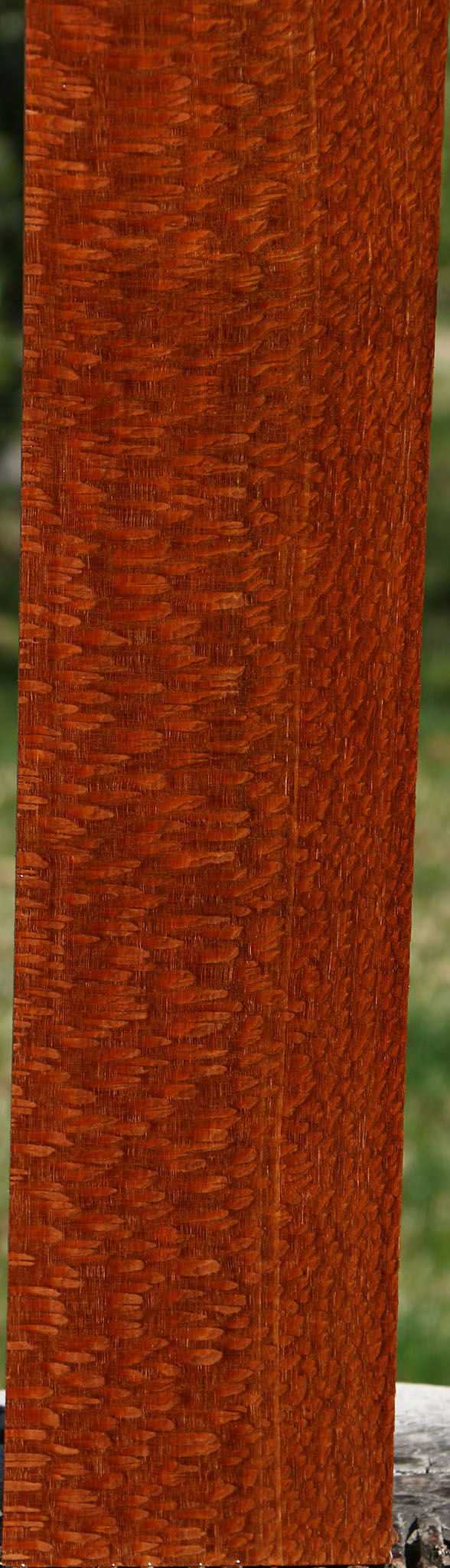 Extra Fancy Quartersawn Leopardwood Lumber