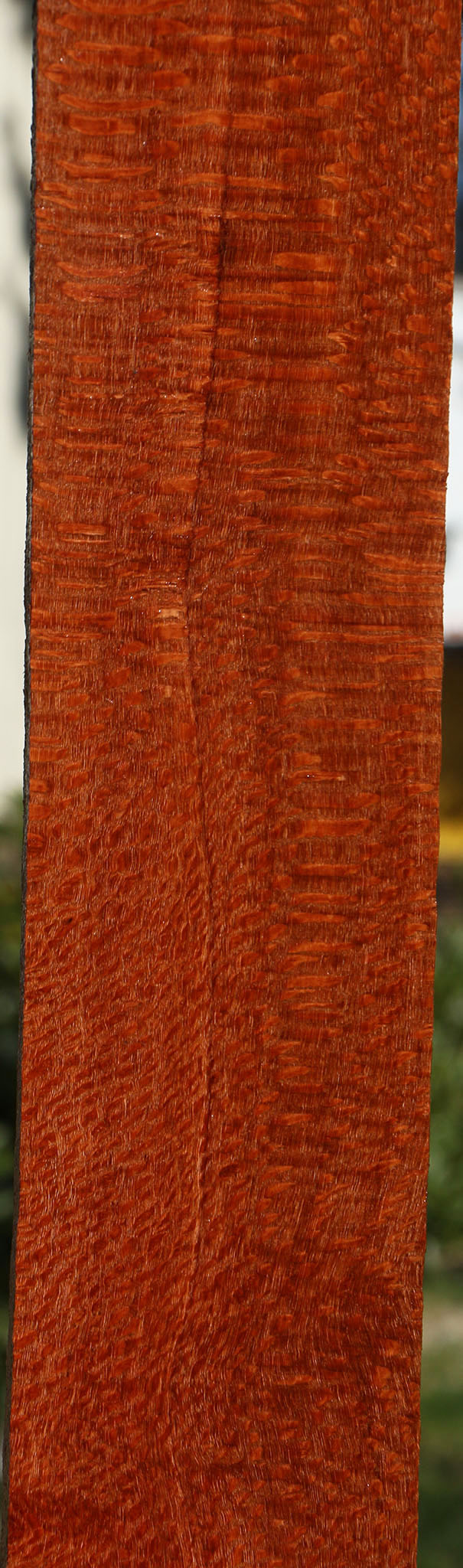 Extra Fancy Quartersawn Leopardwood Lumber