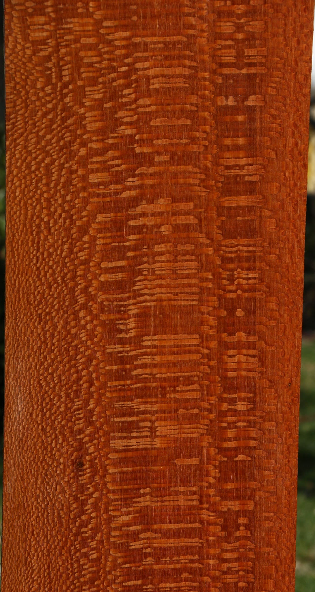 Extra Fancy Quartersawn Leopardwood Instrument Lumber