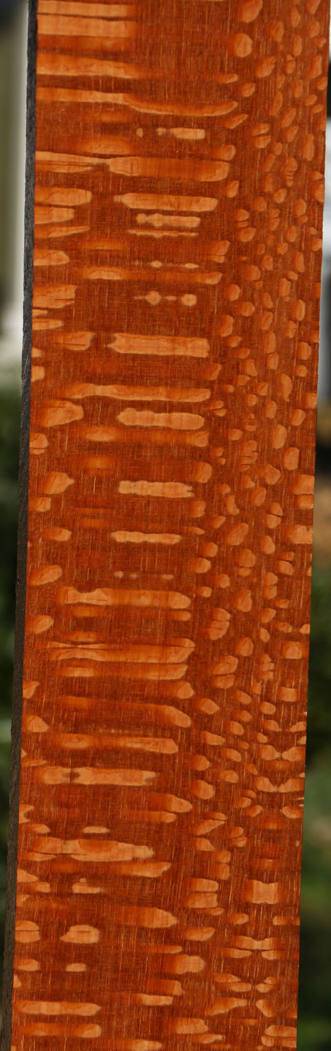 Extra Fancy Quartersawn Leopardwood Lumber