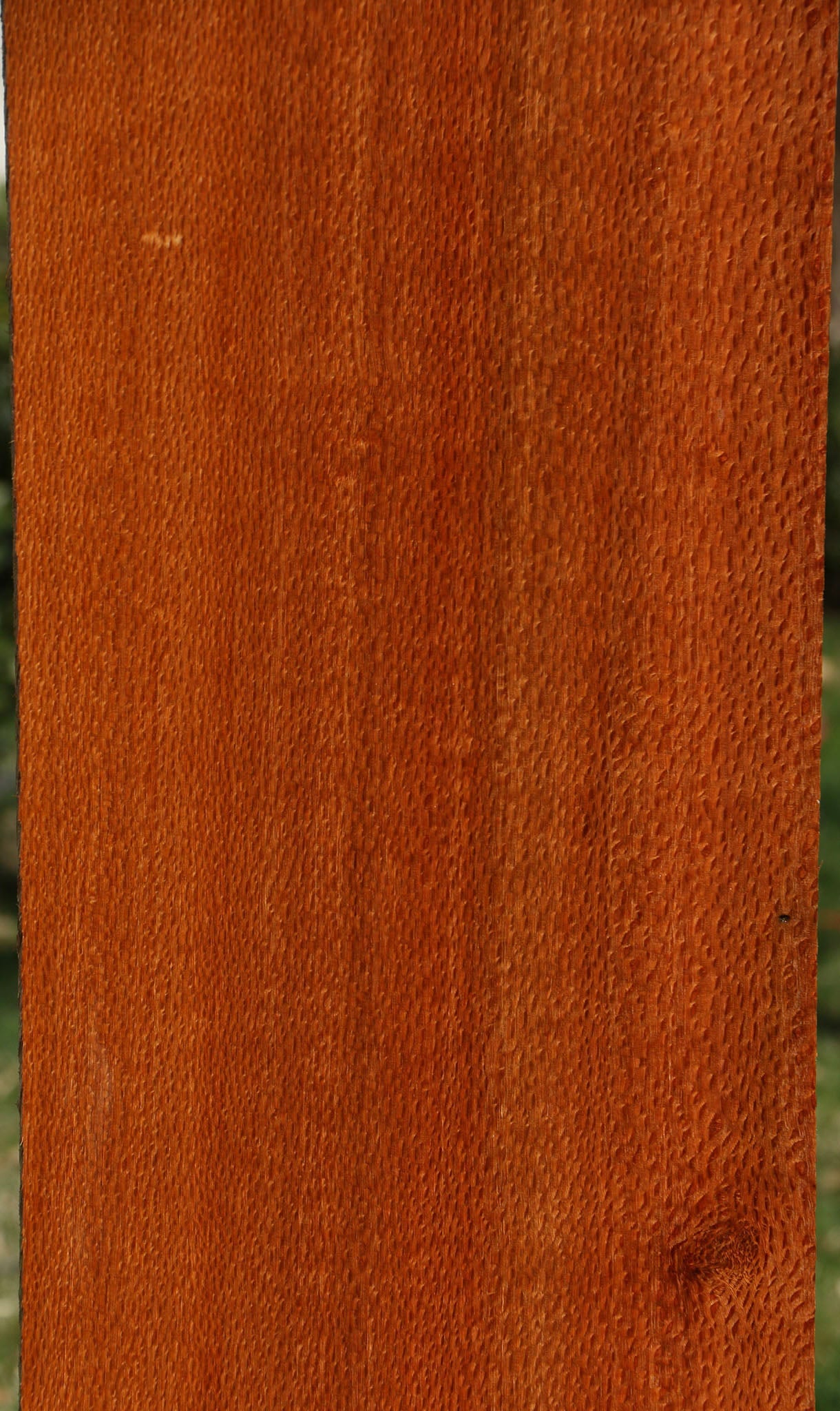 Extra Fancy Quartersawn Leopardwood Lumber