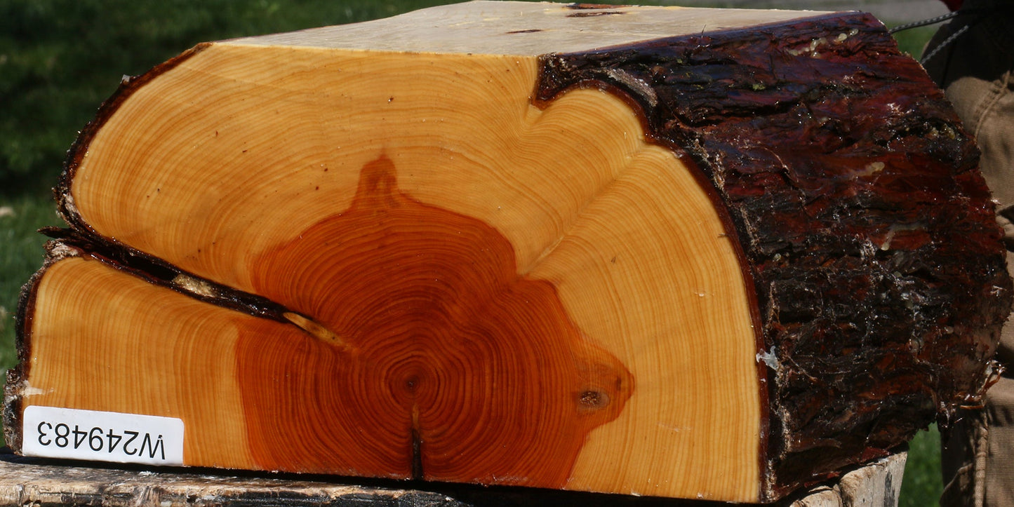 Juniper Half Log