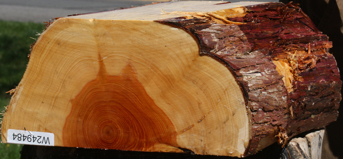 Juniper Half Log