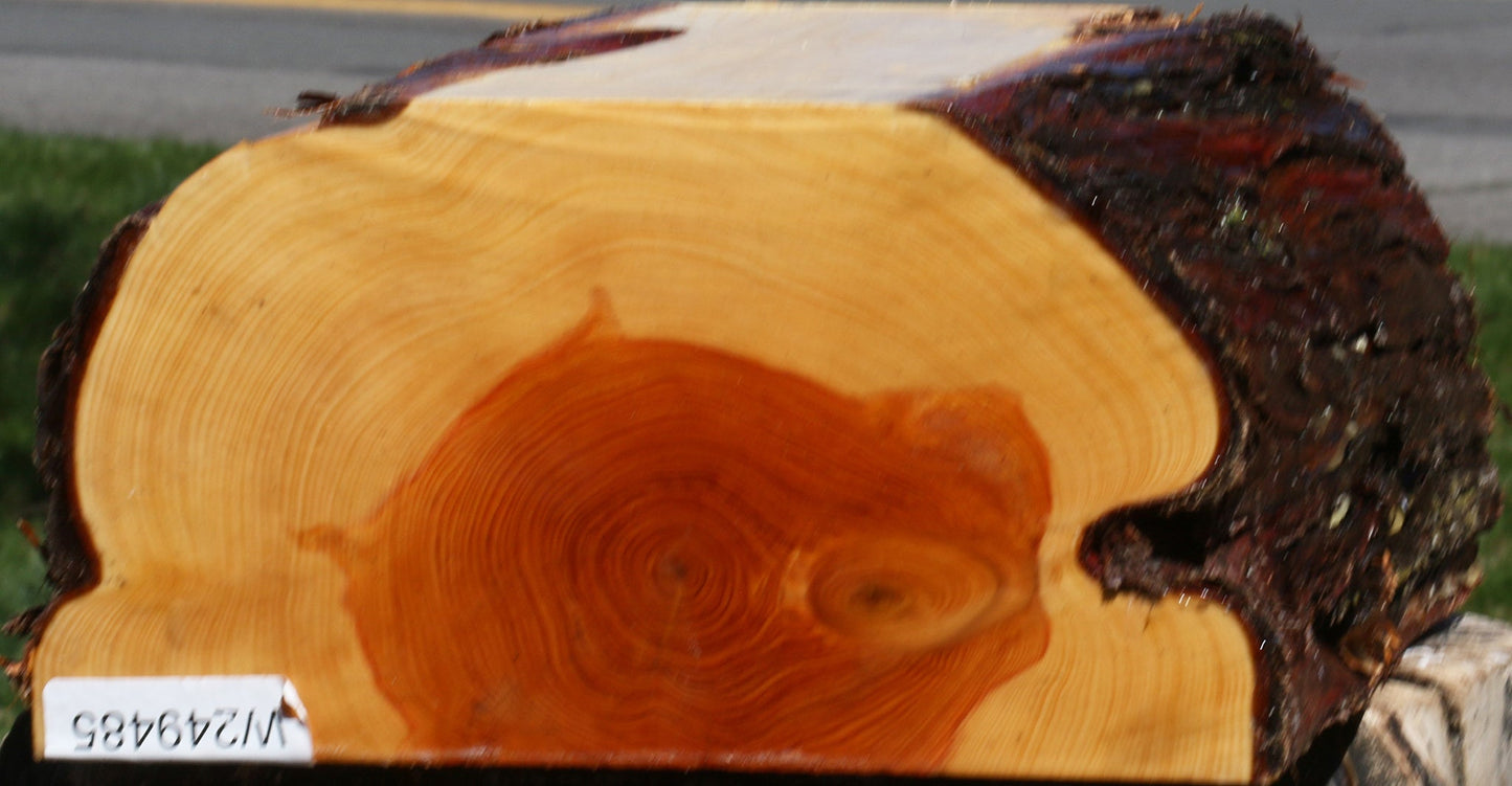 Juniper Half Log