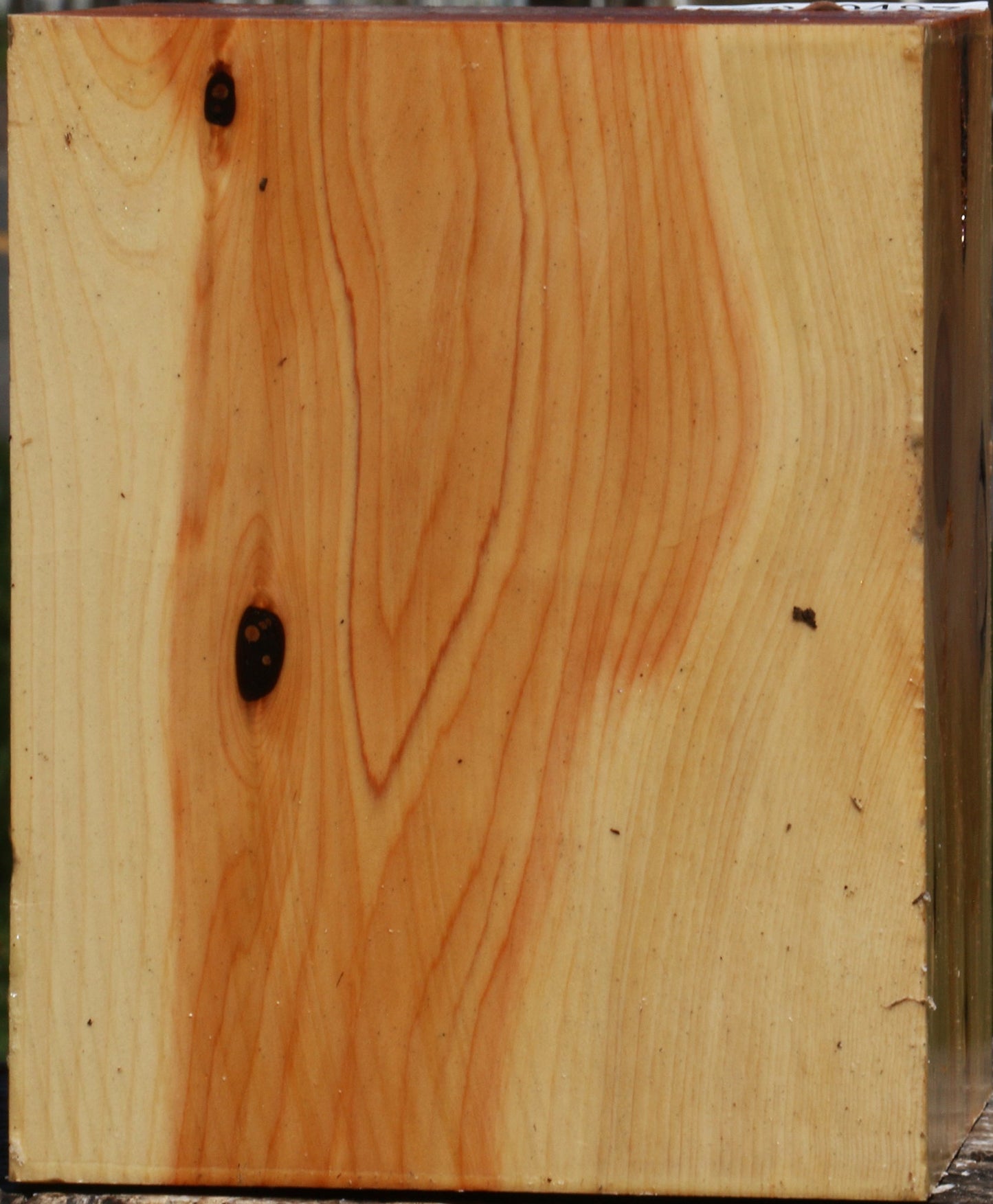 Juniper Bowl Blank