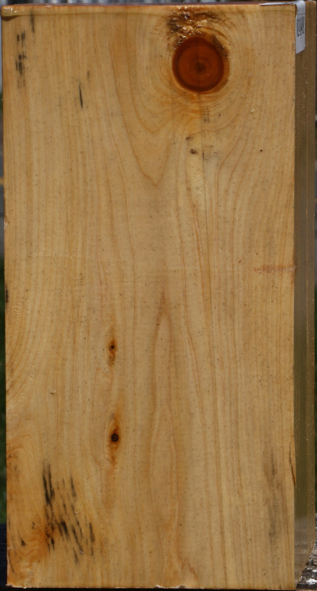 Juniper Vessel Blank