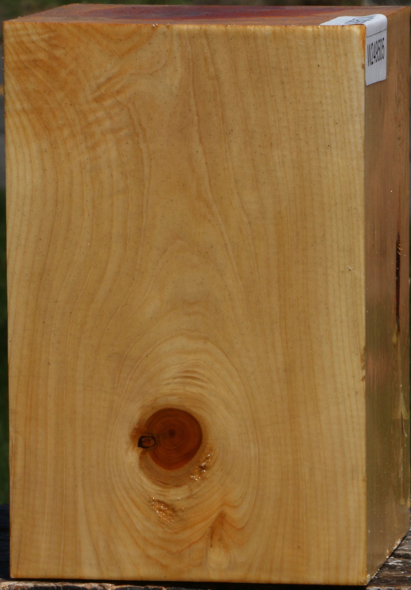 Juniper Vessel Blank