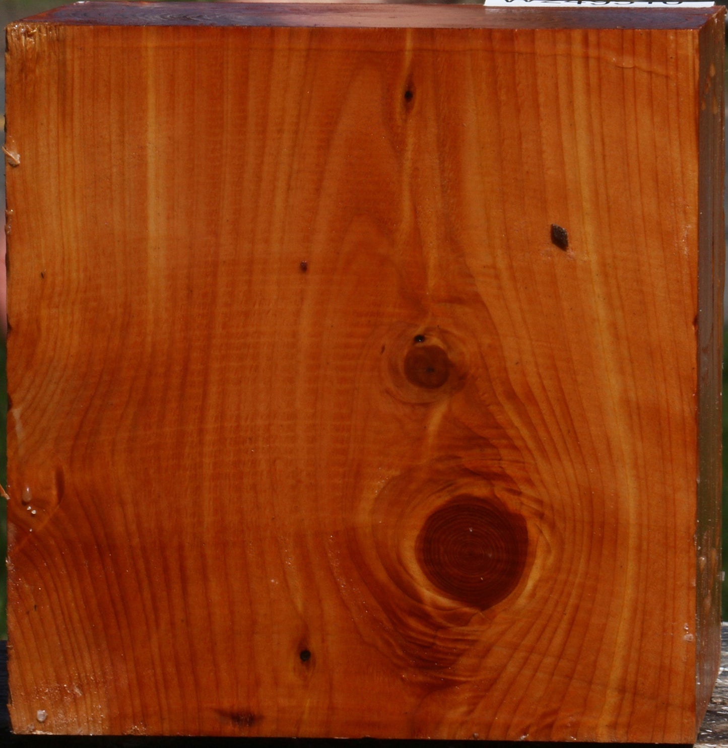 Juniper Bowl Blank