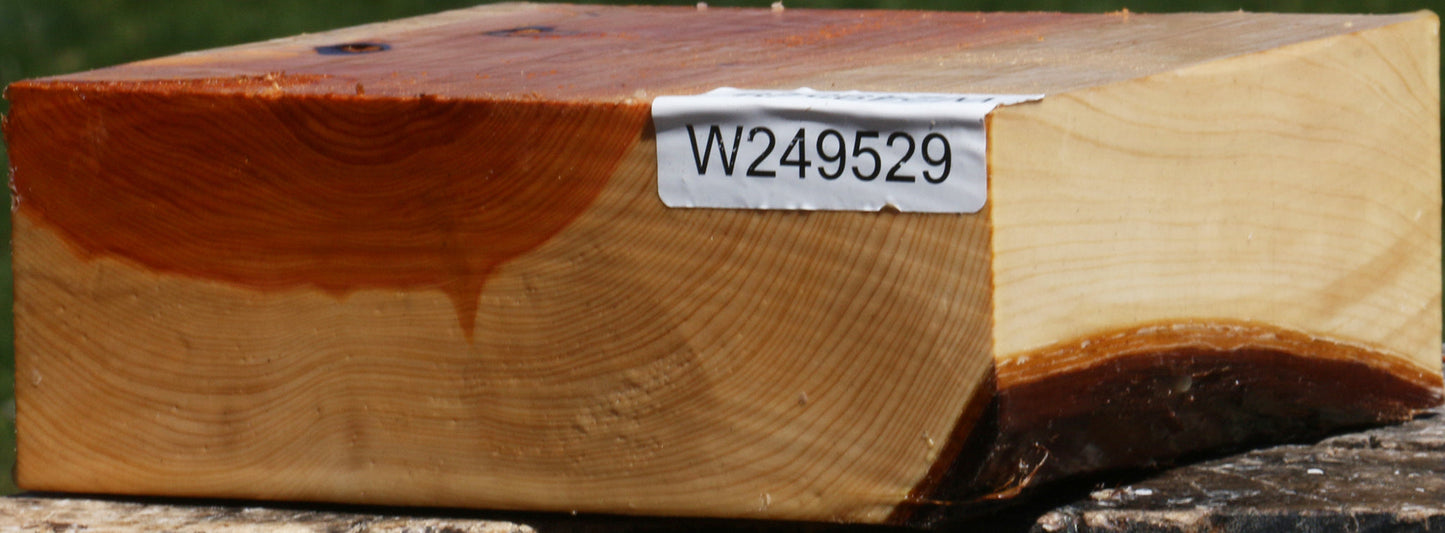 Juniper Bowl Blank