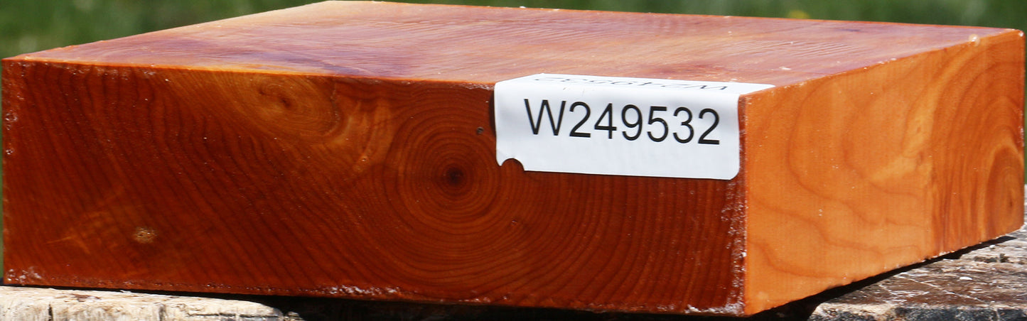 Juniper Bowl Blank