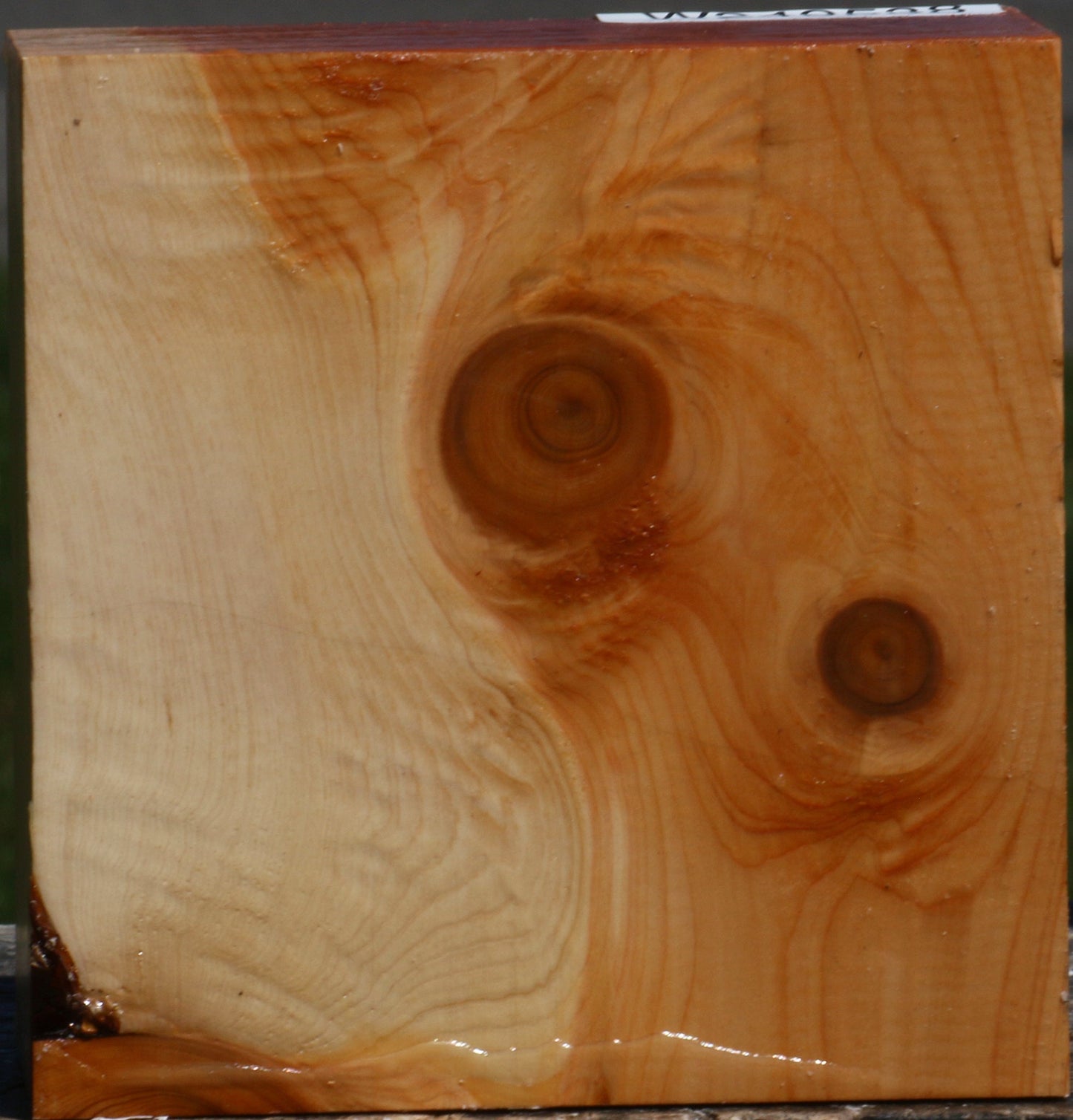 Juniper Bowl Blank