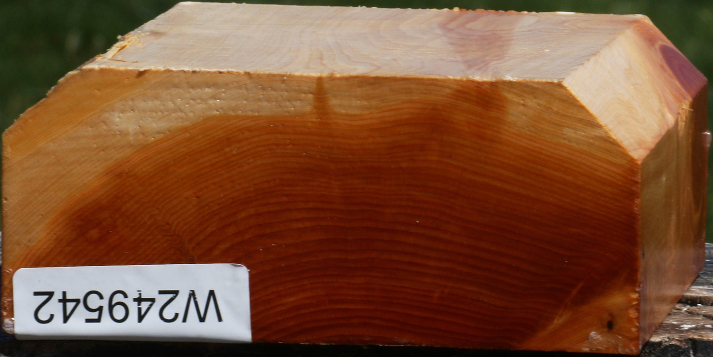 Juniper Bowl Blank
