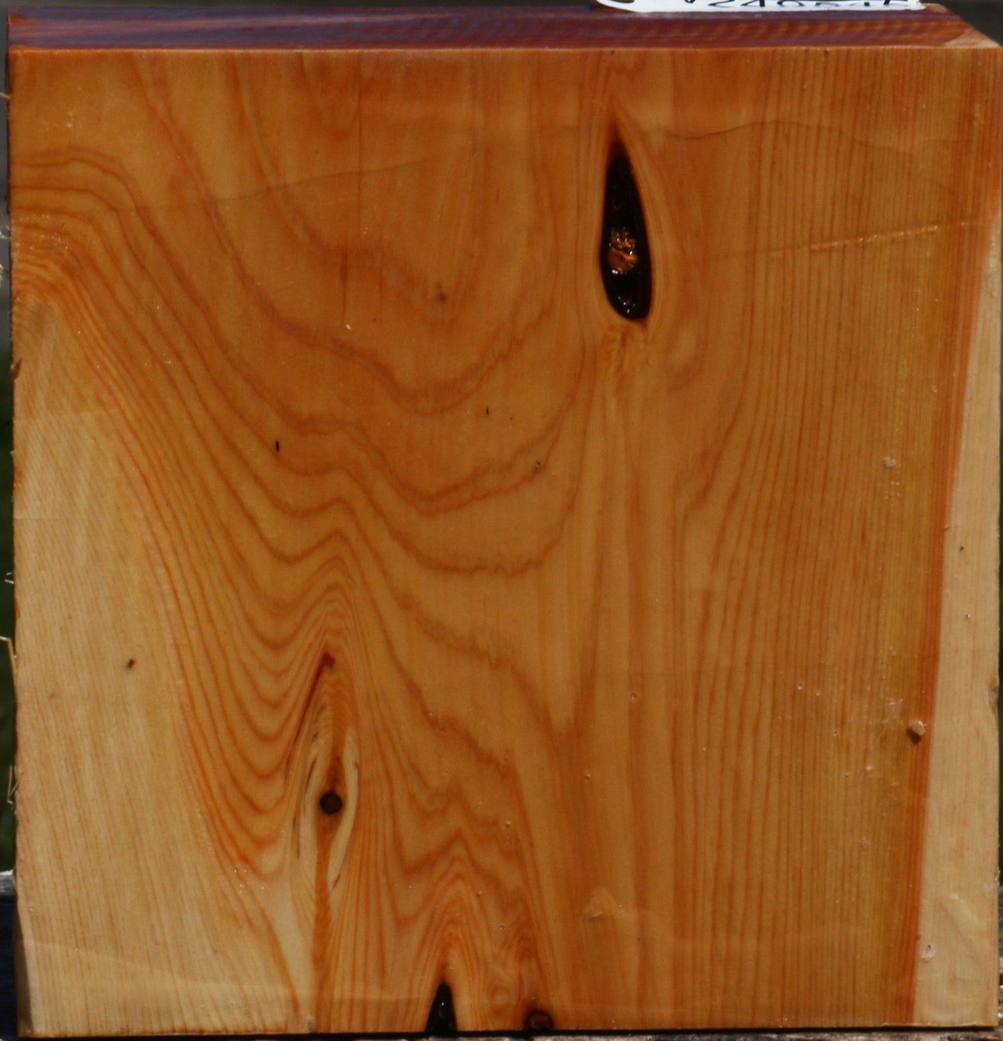 Juniper Bowl Blank