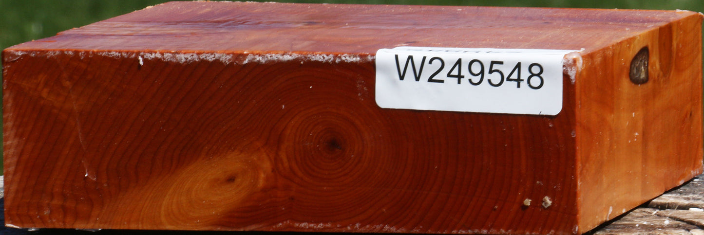 Juniper Bowl Blank