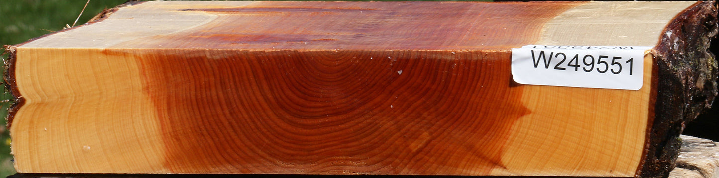 Juniper Live Edge Platter Blank