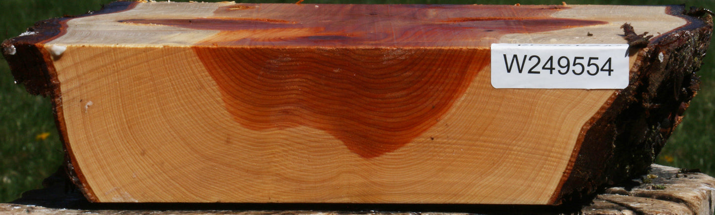 Juniper Live Edge Platter Blank
