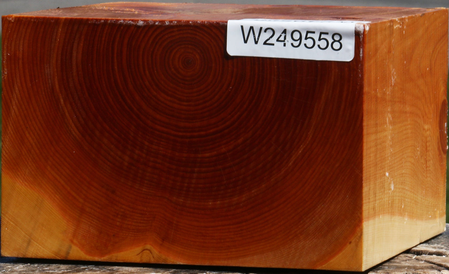 Juniper Bowl Blank